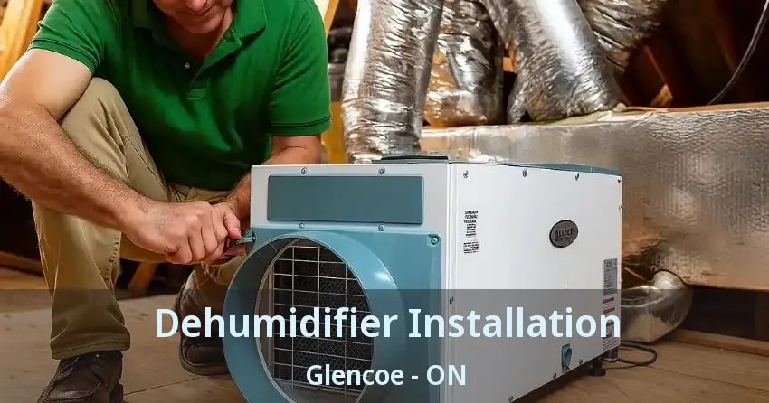 Dehumidifier Installation Glencoe - ON