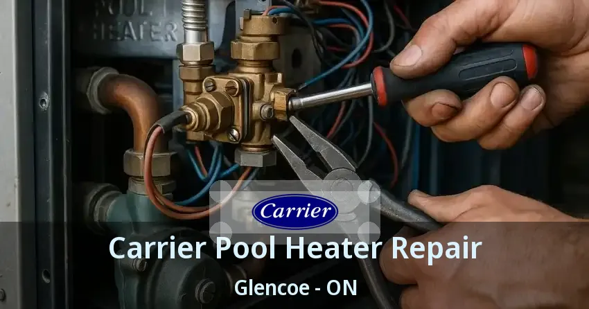 Carrier Pool Heater Repair Glencoe - ON
